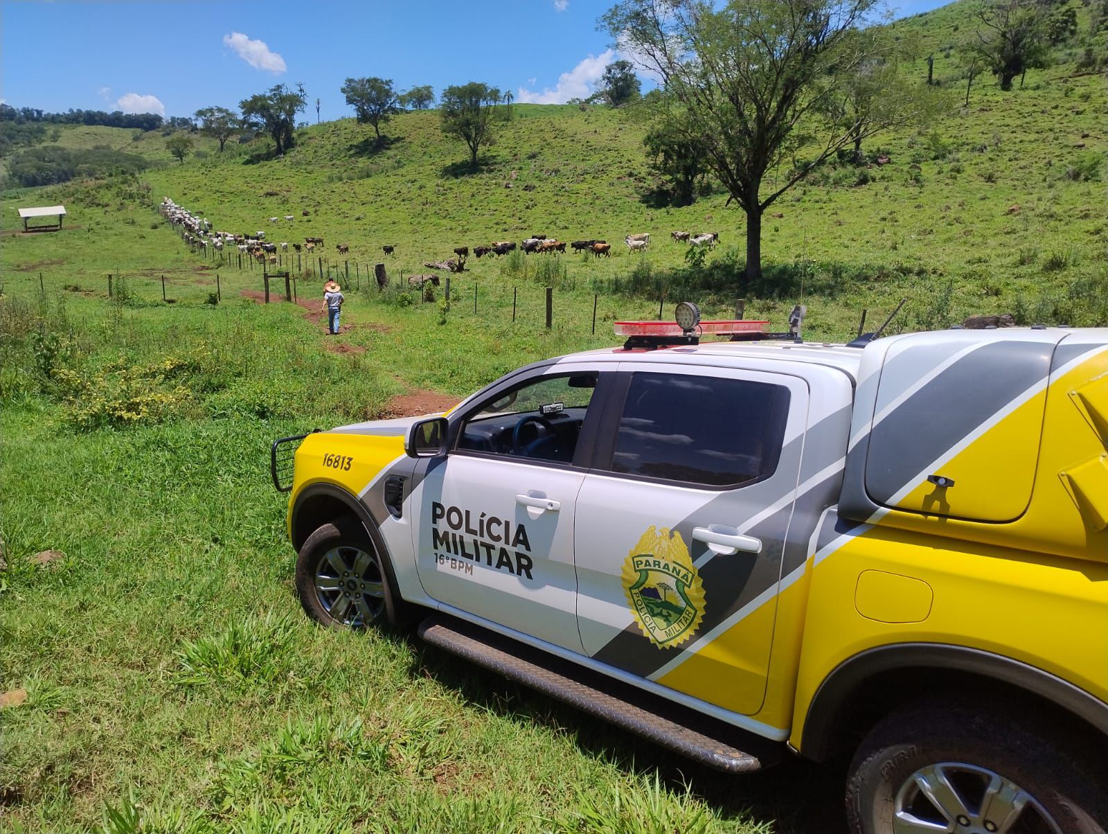 ROTAM recupera animais furtados e prende três pessoas em ação na zona rural de Colorado