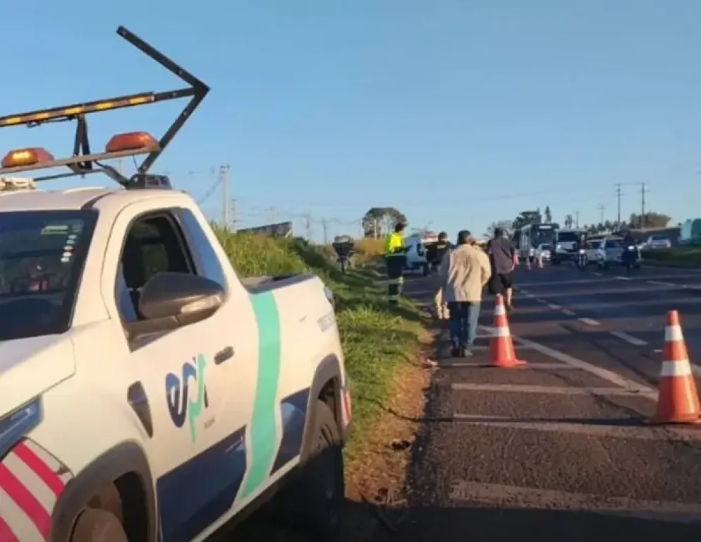 Pedestre morre atropelado na BR-376