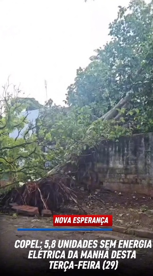 Temporal derruba árvores, destelha casas e deixa milhares sem energia em Nova Esperança